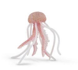 PAPO - MÉDUSE #56018